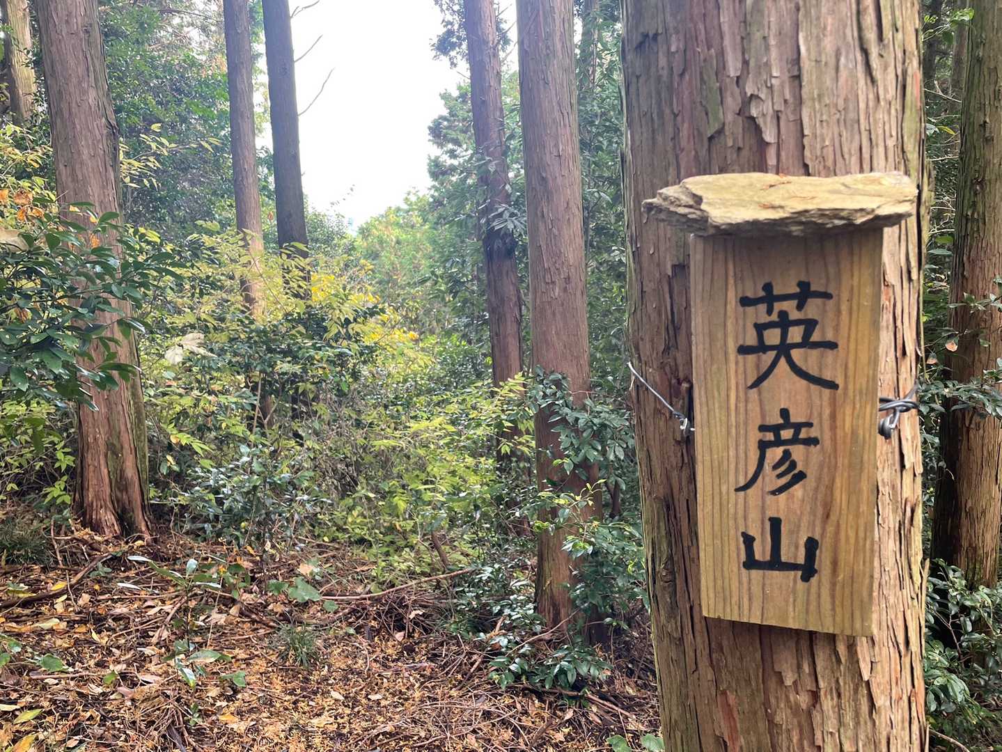 心の目で見れば、遠くに英彦山