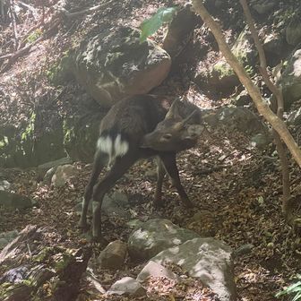 飯食べてるからか全く動じなくて草