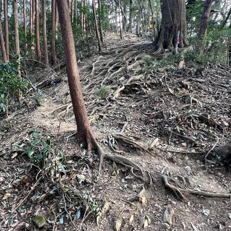 また登るの⁉️が何度も何度も出てきて
もうやめてぇ〜LINEスタンプが頭に浮かぶ🤣