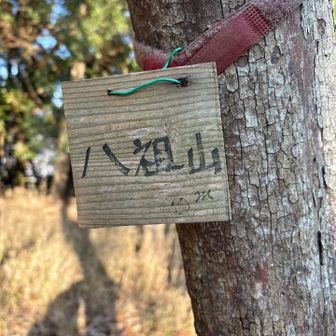 ここまでの道はわかりにくかったです。