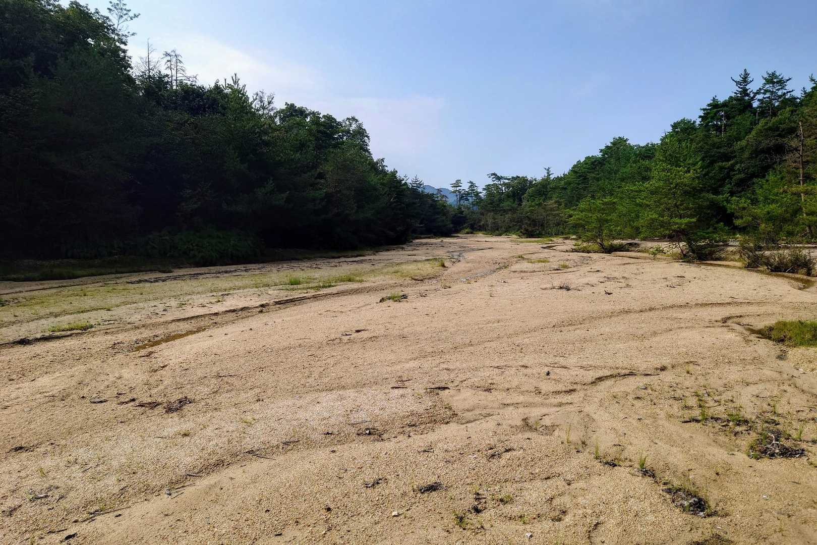 ダム湖の上に土砂が堆積しています
