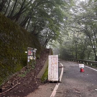 前夜に間違えてカラーコーンどかして
車で先まで行ってしまった。笑

手前に駐車場あった‥