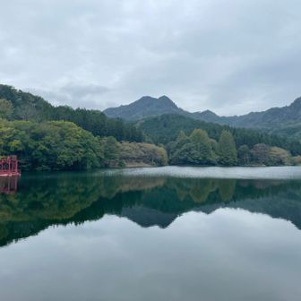 ありがとうございました。また来ます