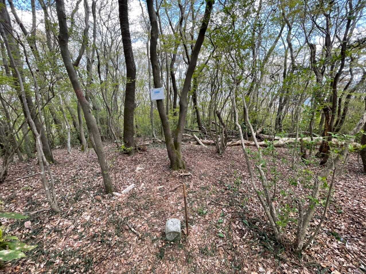 丸山の写真