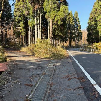 麓まで降りて来た