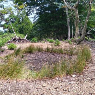 二ノ谷山最高点