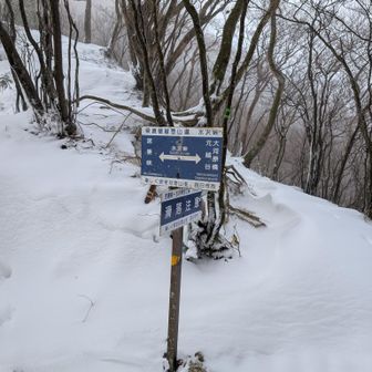 水沢峠の直下は厳しかったですが、何とか水沢峠に到着