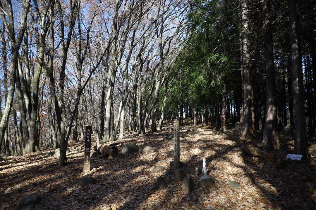 大蔵経寺山の山頂
最後にもう一枚広角で