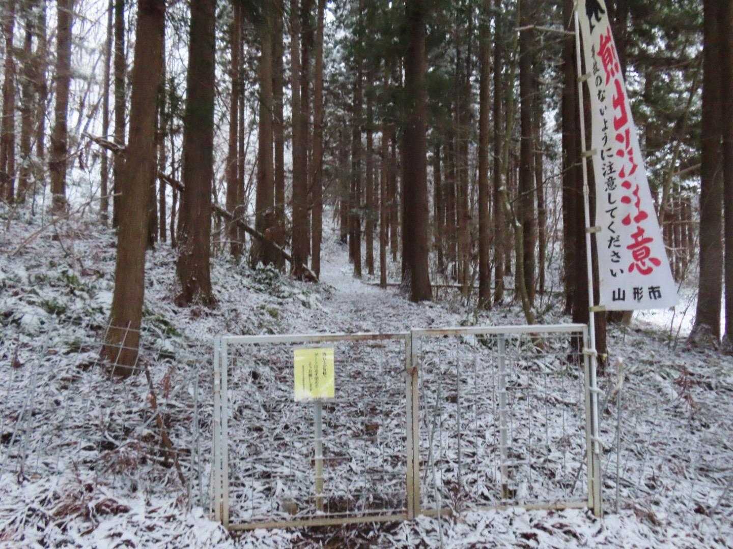 午年ゲートイン🐴