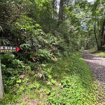 あとは林道