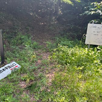 広域林道に出ました！
振り返って花の木登山口を撮ってみました