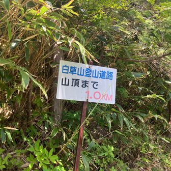 22、白草山へ⑱