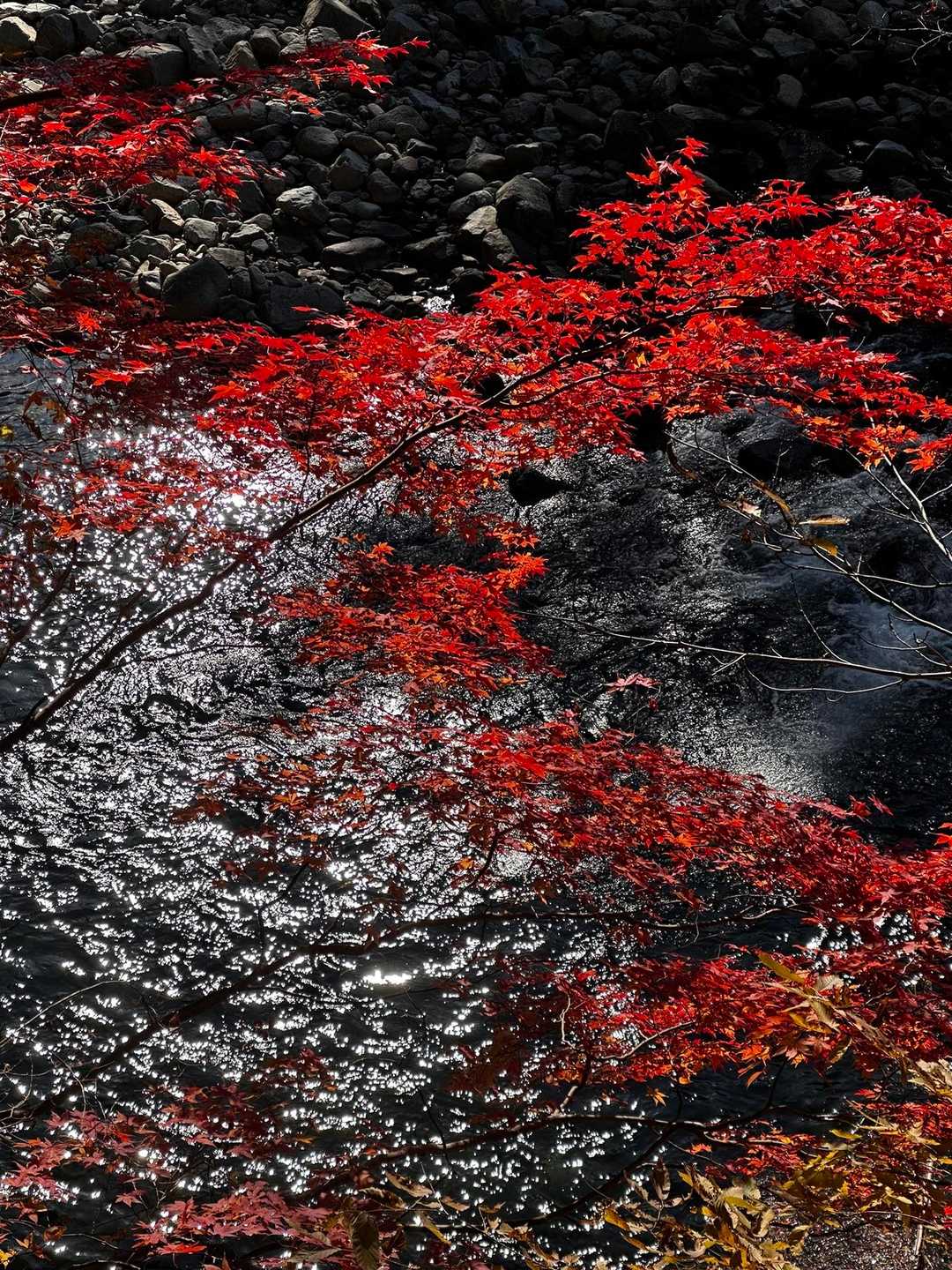 【三段峡】切り立った断崖に隠れた滝や淵をめぐる国の特別名勝の写真