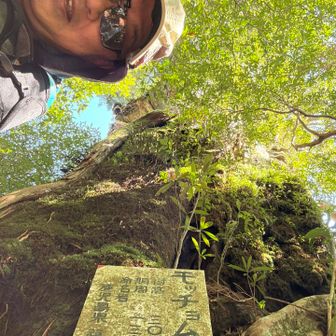 モッチョム太郎はこのオッサンではなく、樹齢3,000年の屋久杉の名称であります🌲