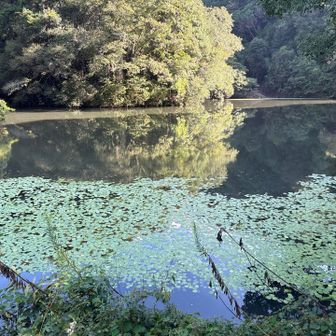 池の横を通る、苔で滑ら無いように慎重に