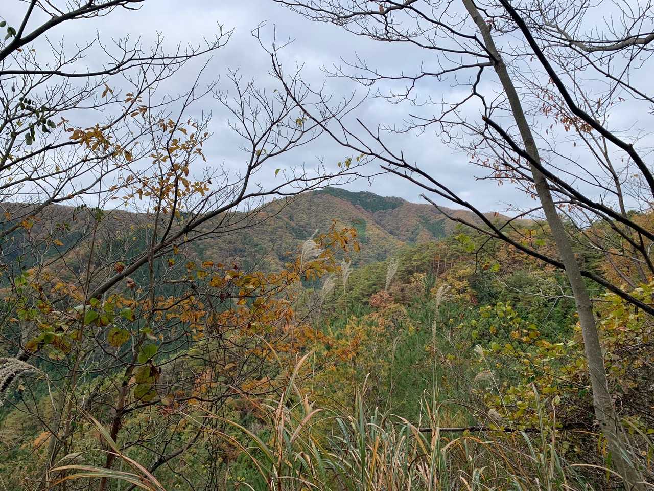 鹿足河内山らしい