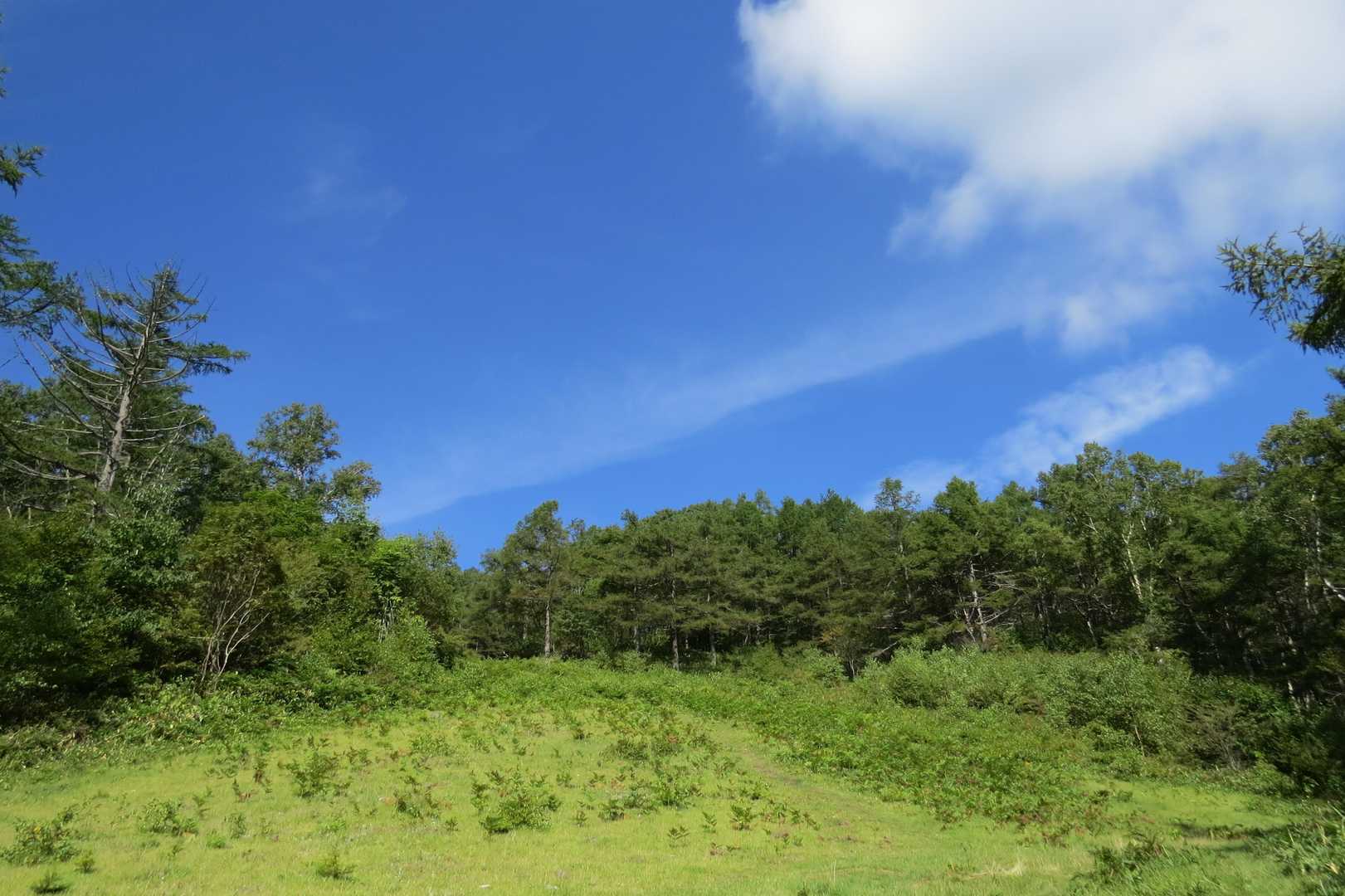 天気も良いが、ゲレンデ登るのは、とにかく暑い。