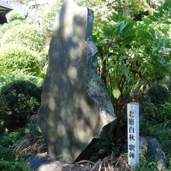 北原白秋も酒好きなんだ。（澤乃井園）