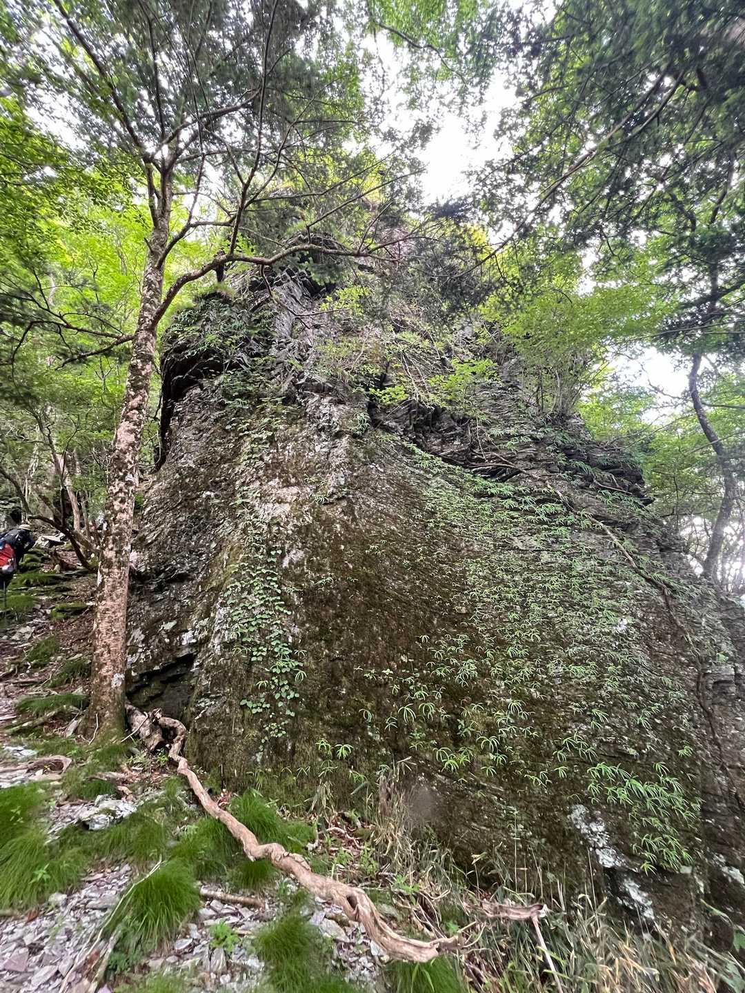 ここからは大岩