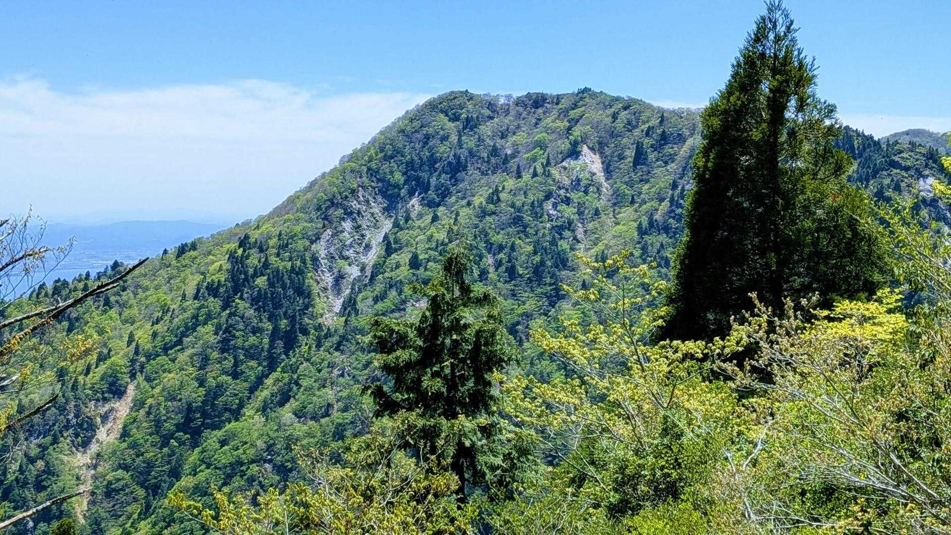 イン谷口バス停-ノタノホリ-堂満岳-金糞峠-前山-北比良峠 周回コースの写真