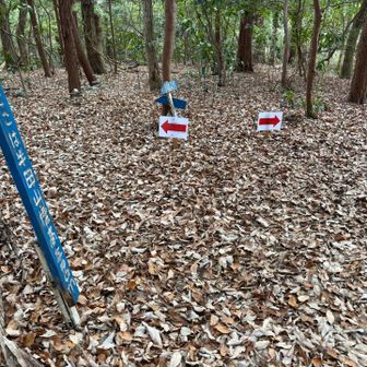 落ち葉🍂だらけの、半田山300ｍ山頂！
