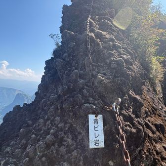 普通に雨だと死んじゃいそう