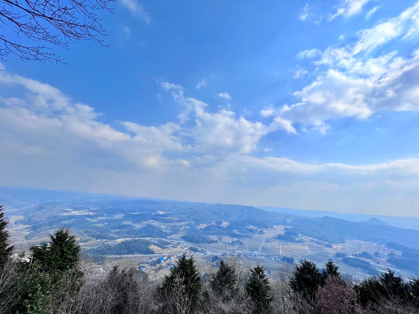 田んぼのパッチワーク♥️
