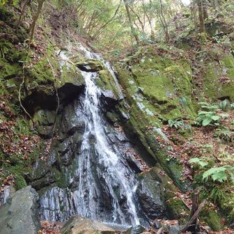 山登りを始めた14~5年前、この谷を開拓してくれた方と偶然ご一緒したことがあるが、その時80歳🤗だといわれていた😆井原山2000回😳の仙人様だった😄
　
感謝🙏