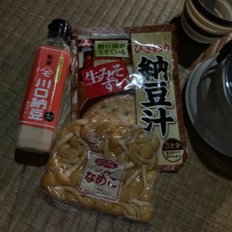 仙台に来て驚いたこと。生の納豆汁の素がどこにも売ってない！ので簡易レシピで間に合わせ。
インスタント味噌汁500mlに粉末納豆30gを入れるとそれっぽくなります。
具は山菜、豆腐、油揚げなどが定番ですが、今回はナメコだけ持参。ヌルヌルに次ぐヌルヌルでくどい。
箸休めの豆腐は入れるべきだったなあ。