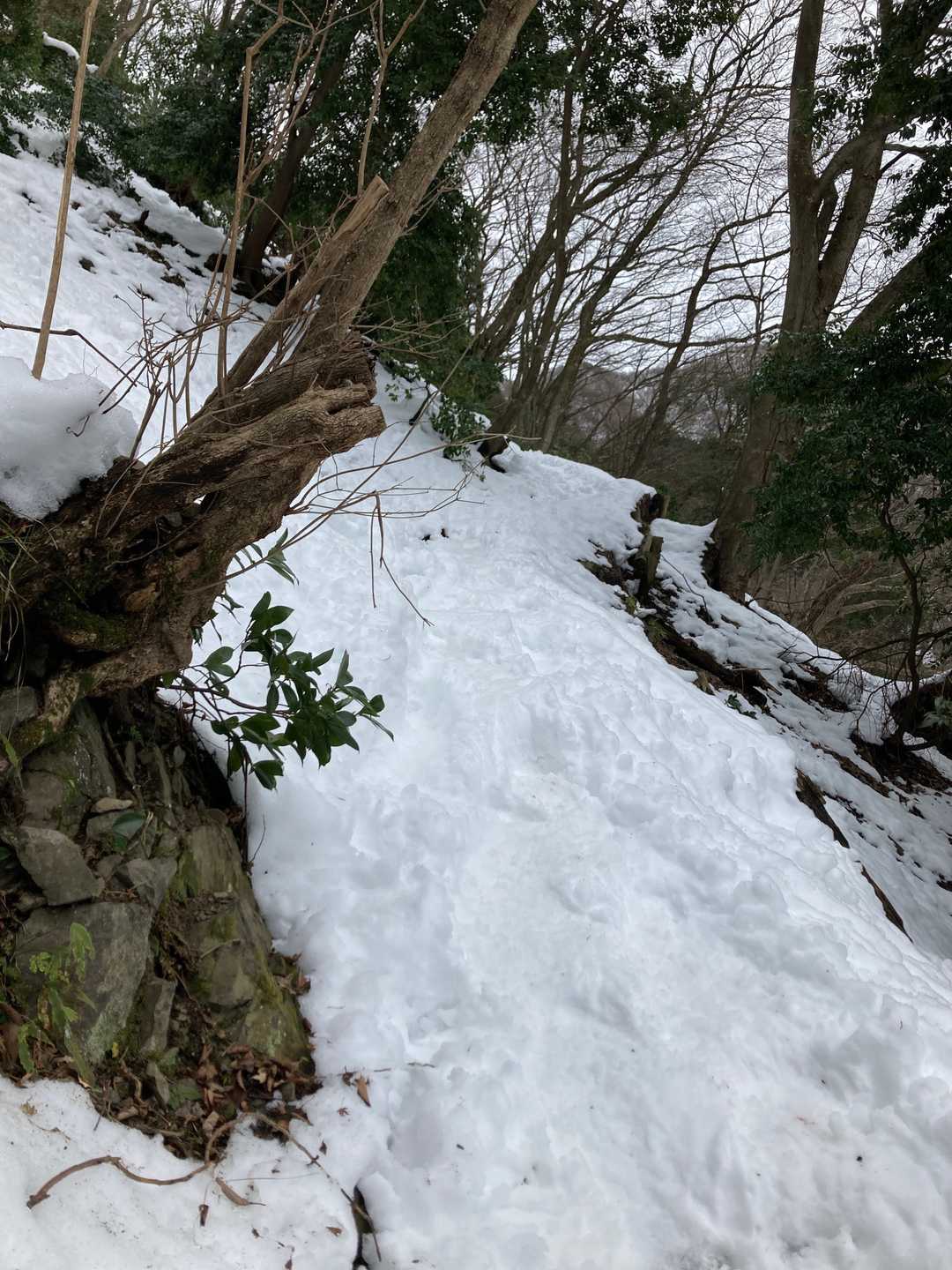 急登のつづらおり、１ヶ月前までは、雪山にくるなんて想像してなかった！