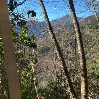 百尋ノ滝からここの手前までが滑落注意
確かに足元注意な箇所ですが、慎重にいけば下りも行けるんじゃないかと思いました