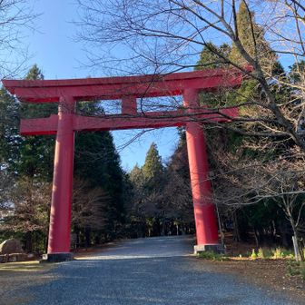 奧宮の大鳥居⛩️