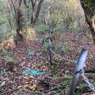 しっかりした鎖場
落ち葉で滑るので助かります