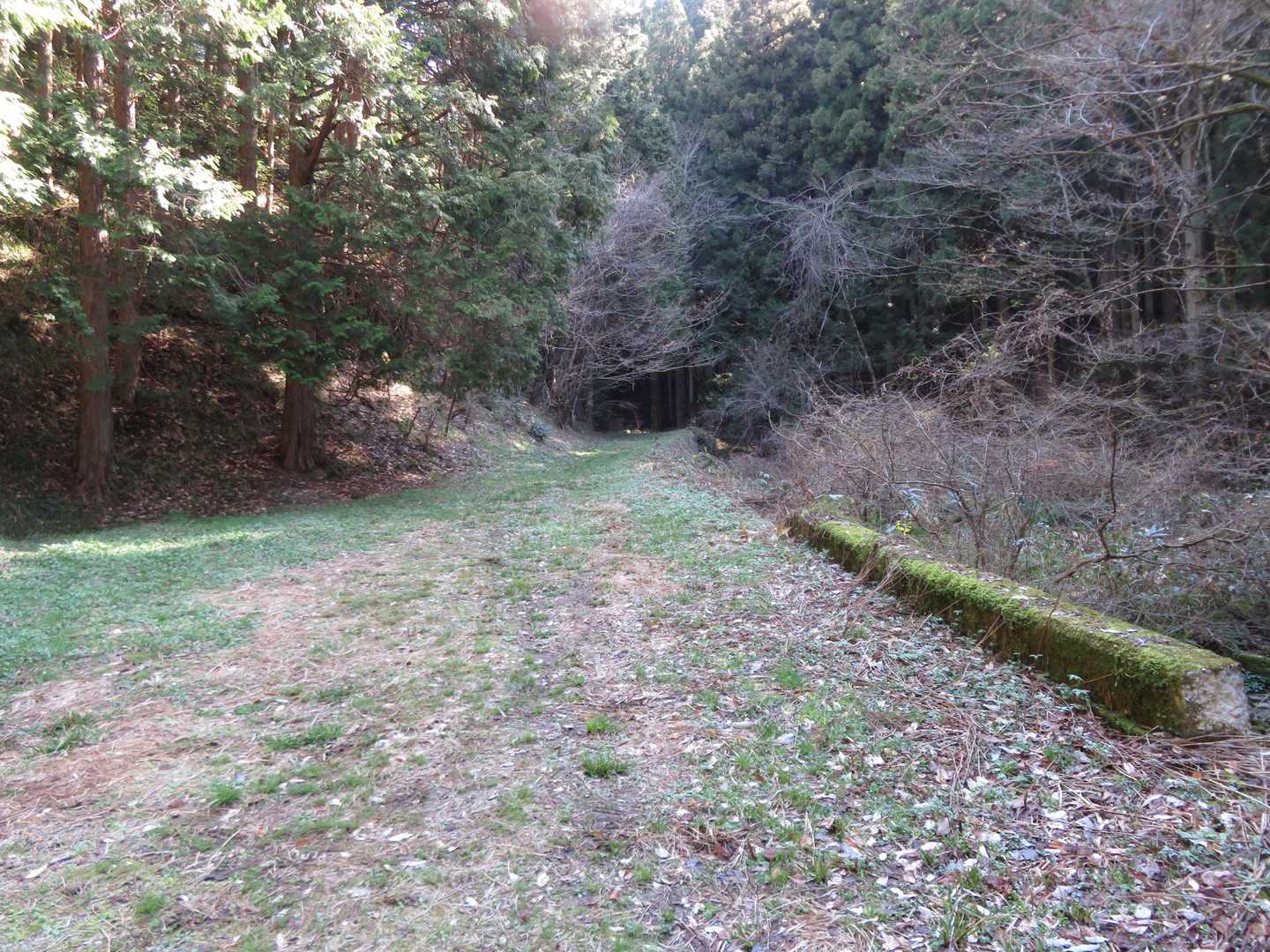 登山口Ｐから出発。