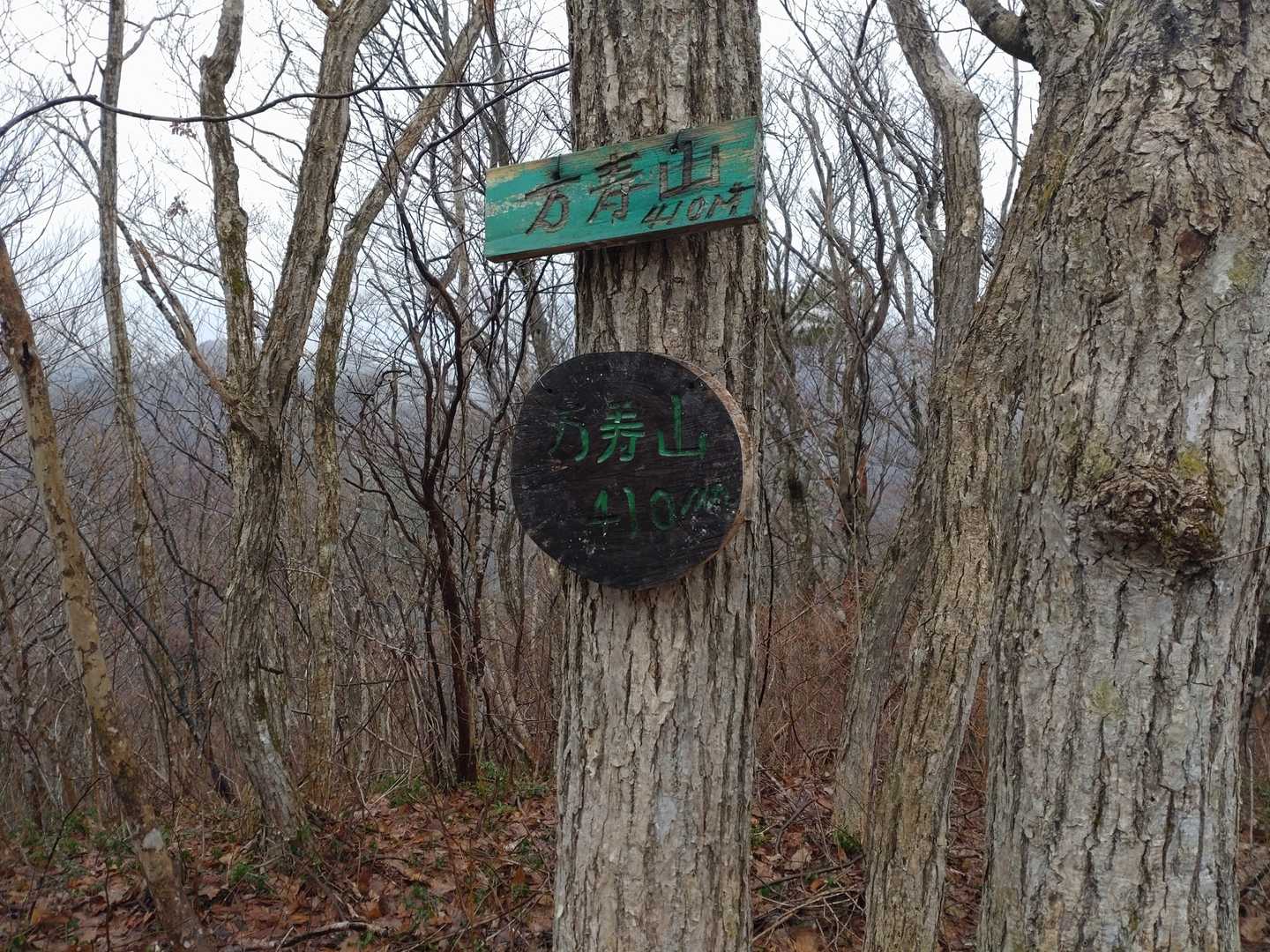 万寿山 往復コースの写真