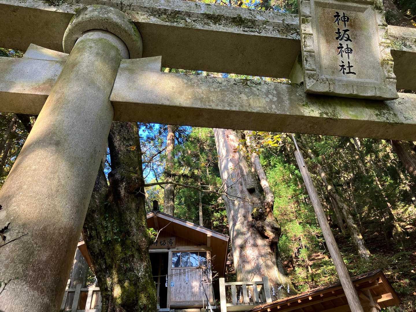 ⛩️神坂神社で安全祈願