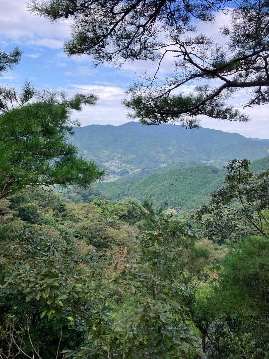 味見峠-障子ヶ岳 往復コースの写真