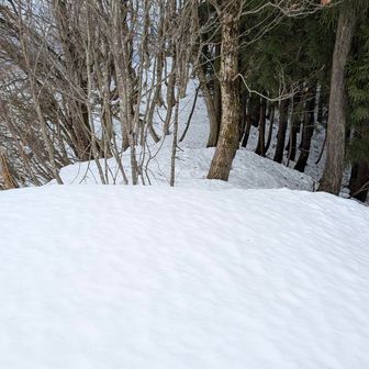 この先トレースなし
進みます