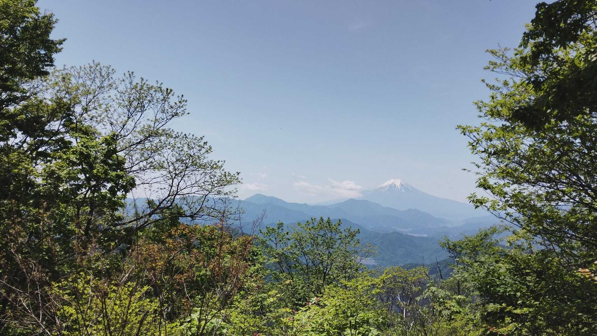 権現山の🗻