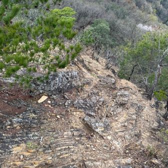 さ、降りますか