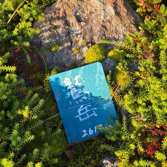 鷲岳⛰️
ちゃんとした道もなく崩れやすい道やし、靴、靴下、ズボンびちょびちょになりながら苦労してここまで来ました！