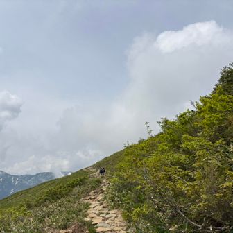 石段