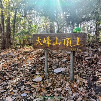 大峰山🐢