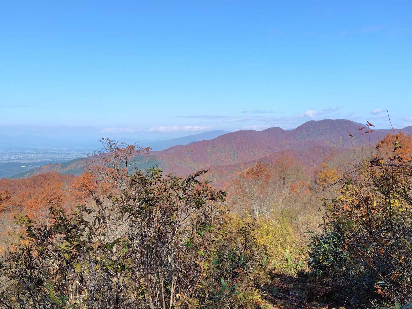 黒森山 往復コースの写真