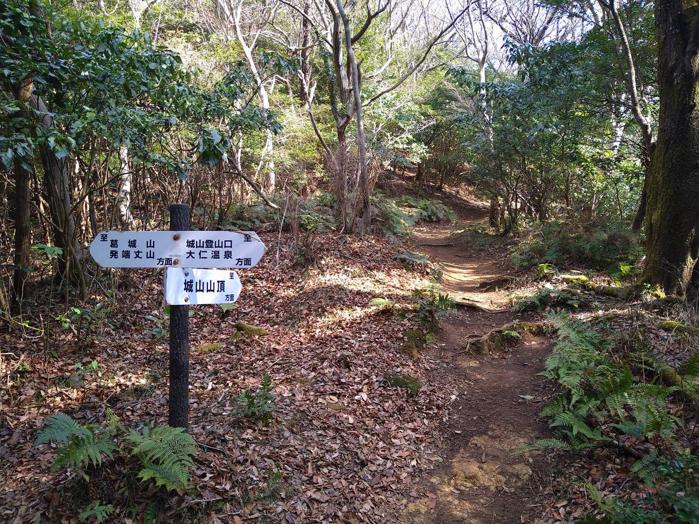 今回は城山のみ