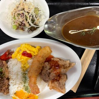 おんな気カレー🍛を注文😋
平日の早い時間ですが、常連さんが何人も
車で来るには難所だし、山を歩いてくるにも大変なのに、とっても居心地の良いお店なのかな😊
仮設トイレの部類に入ると思うけど、清潔感のある立派なおトイレがありました👍