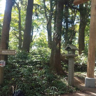 9 一ノ鳥居
