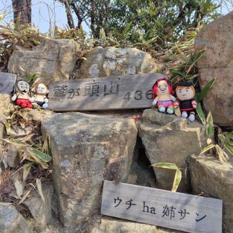 着いたー！
鷲ヶ頭山山頂🔺

ウチ ha 姉サン
って何？🤔