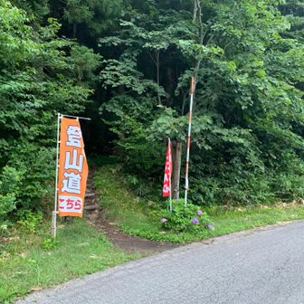 登山道はこちらなのね。立派なのぼり旗