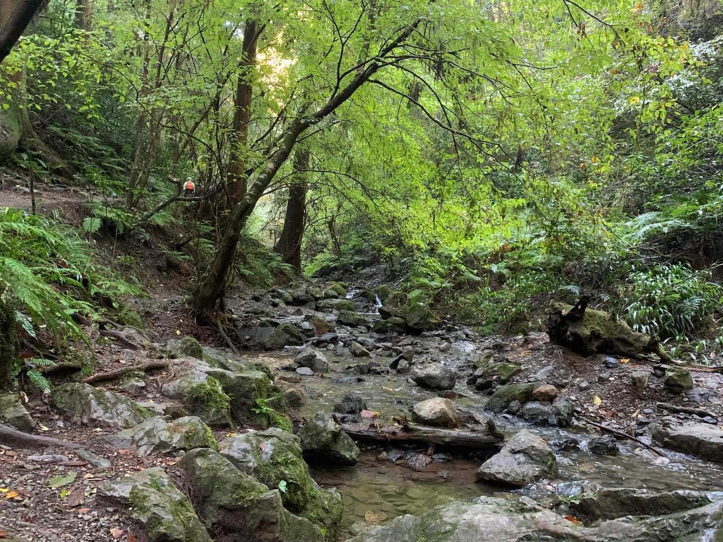 紅葉の気配なし！！！